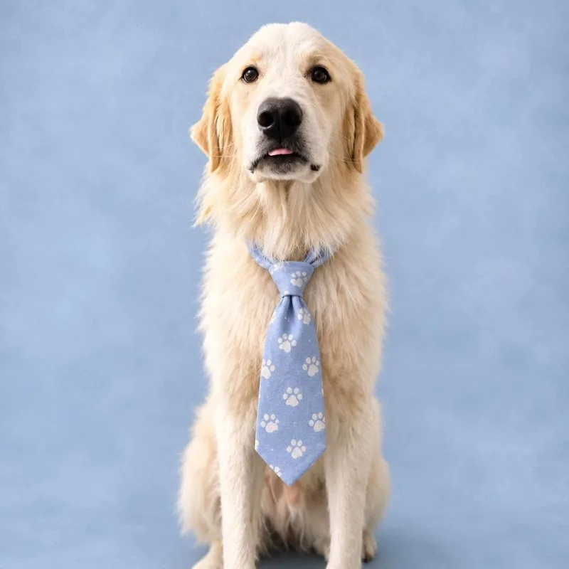 Sully