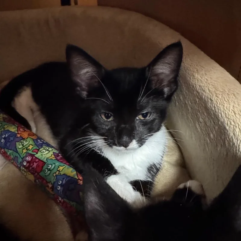 Delores thumbnail 4