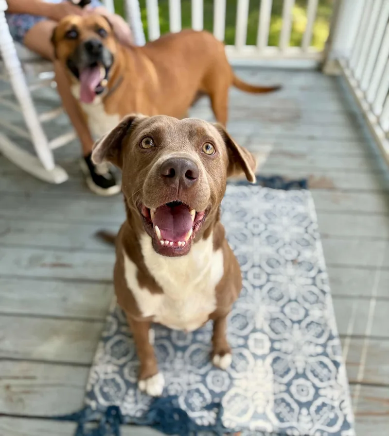 Tanner — Best Friend thumbnail 3