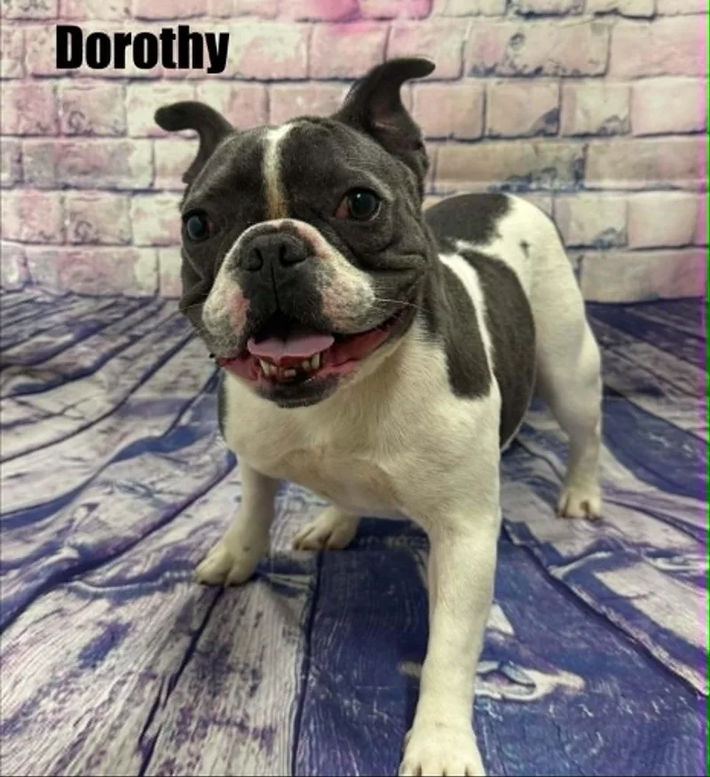 Dorothy