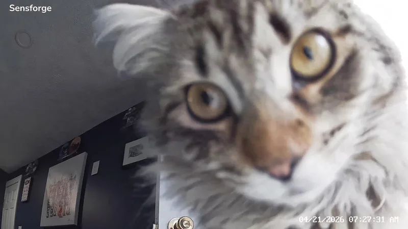 Delilah thumbnail 2