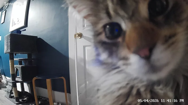 Delilah thumbnail 3