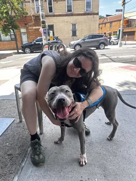 A senior medium-sized female Mixed Breed dog named Raveena for adoption in Ridgewood, NY