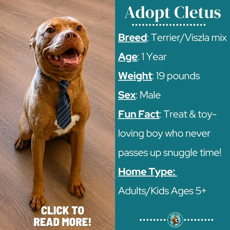Cletus thumbnail 5