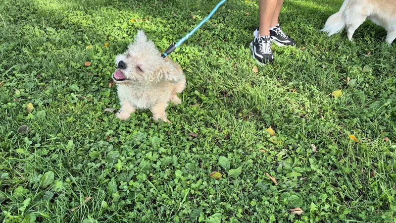 Snowflake thumbnail 3