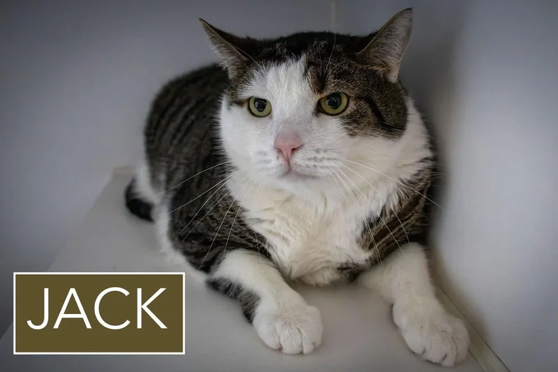 Jack & Diane: Bonded thumbnail 3