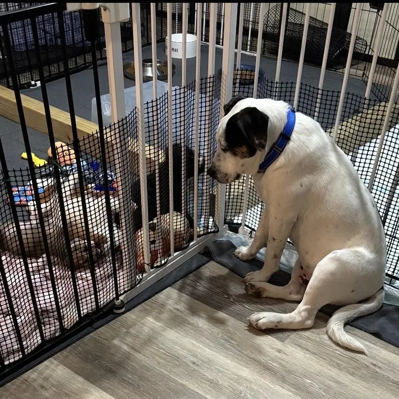 Tony  Fun And thumbnail 2