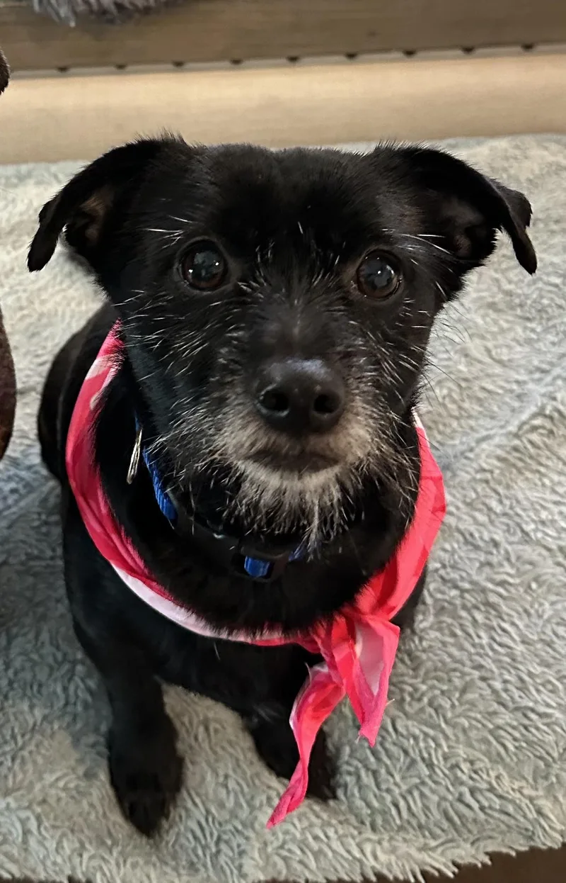 Sassy & Cocoa thumbnail 2