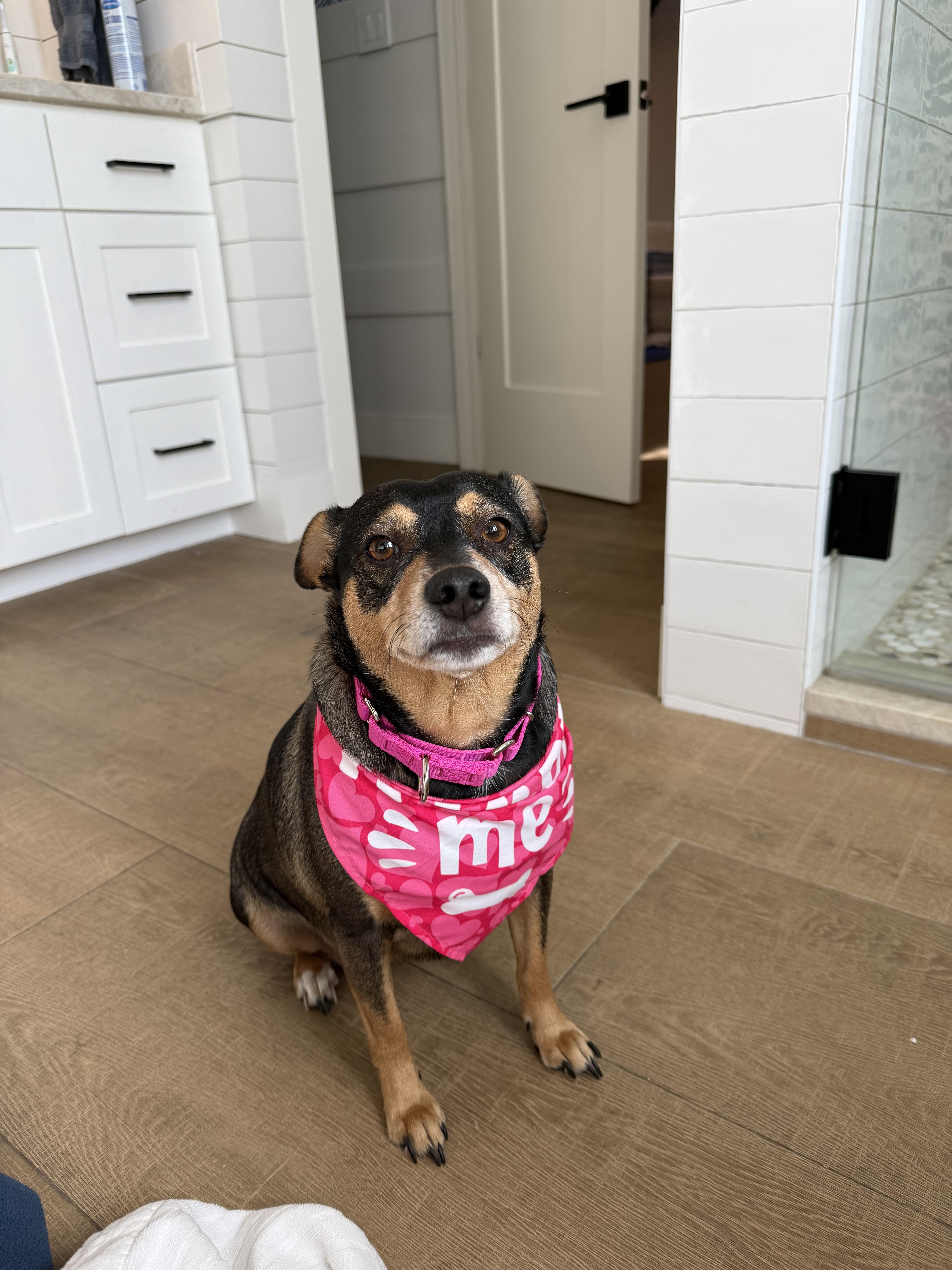 Sassy & Cocoa thumbnail 4