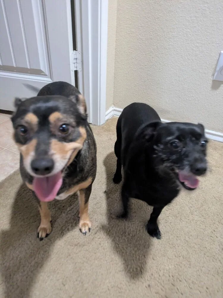 Sassy & Cocoa thumbnail 6