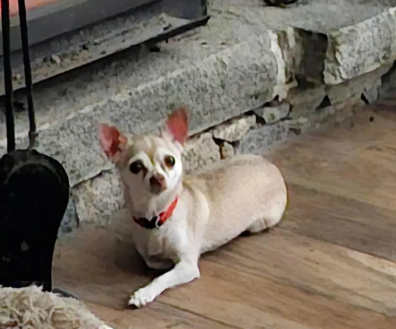 Ruby Roo thumbnail 5