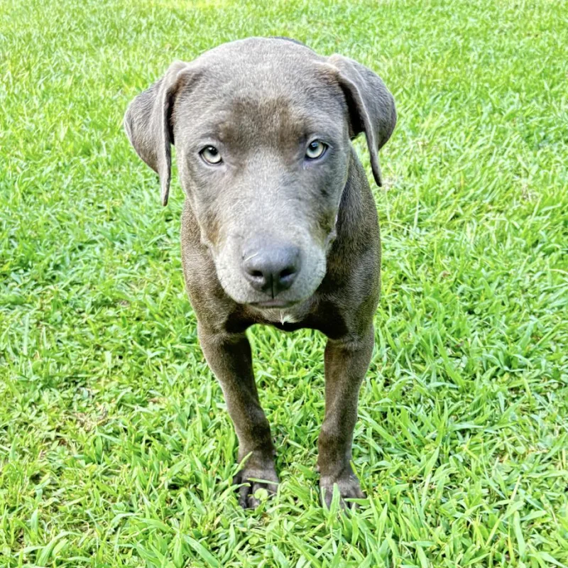 Sadie thumbnail 3