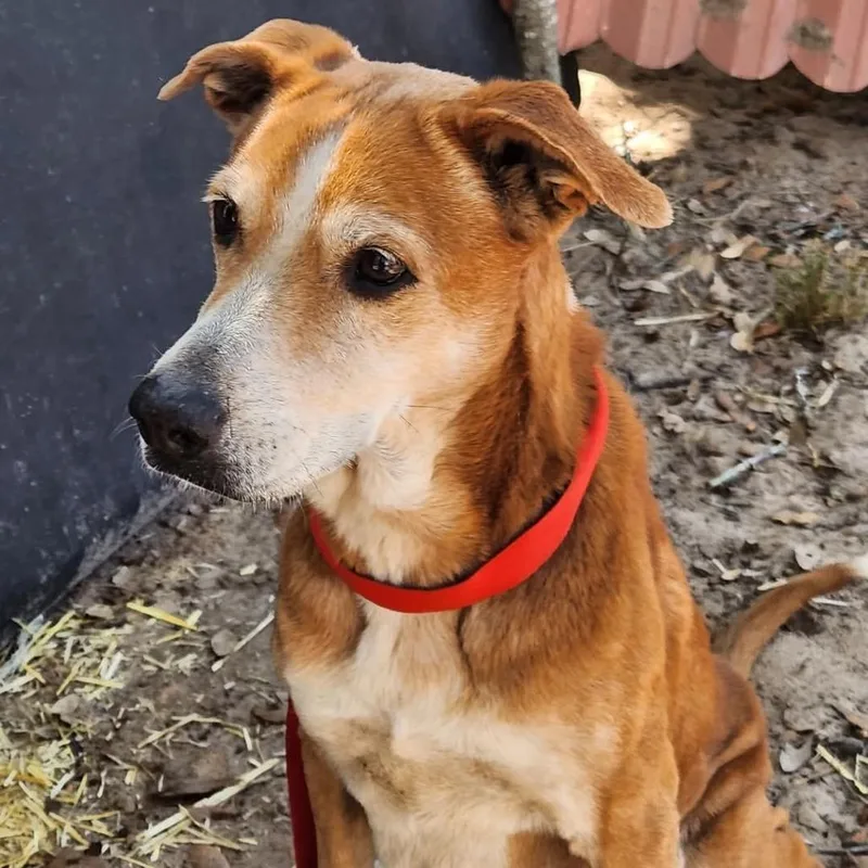 Mazie Kb thumbnail 2