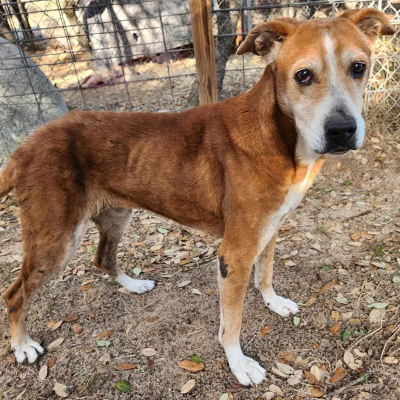 Mazie Kb thumbnail 3