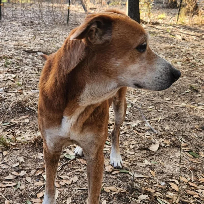 Mazie Kb thumbnail 5