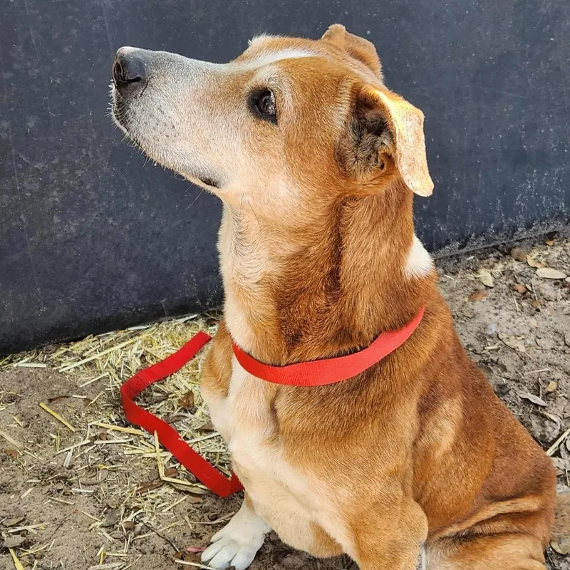 Mazie Kb thumbnail 6