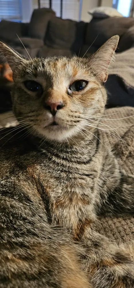 Mueschka thumbnail 2