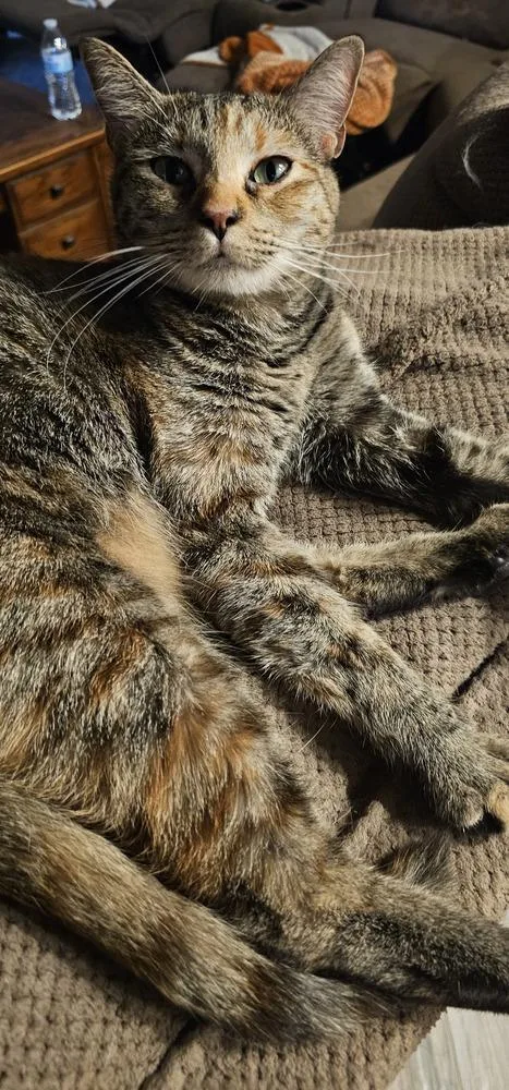 Mueschka thumbnail 3