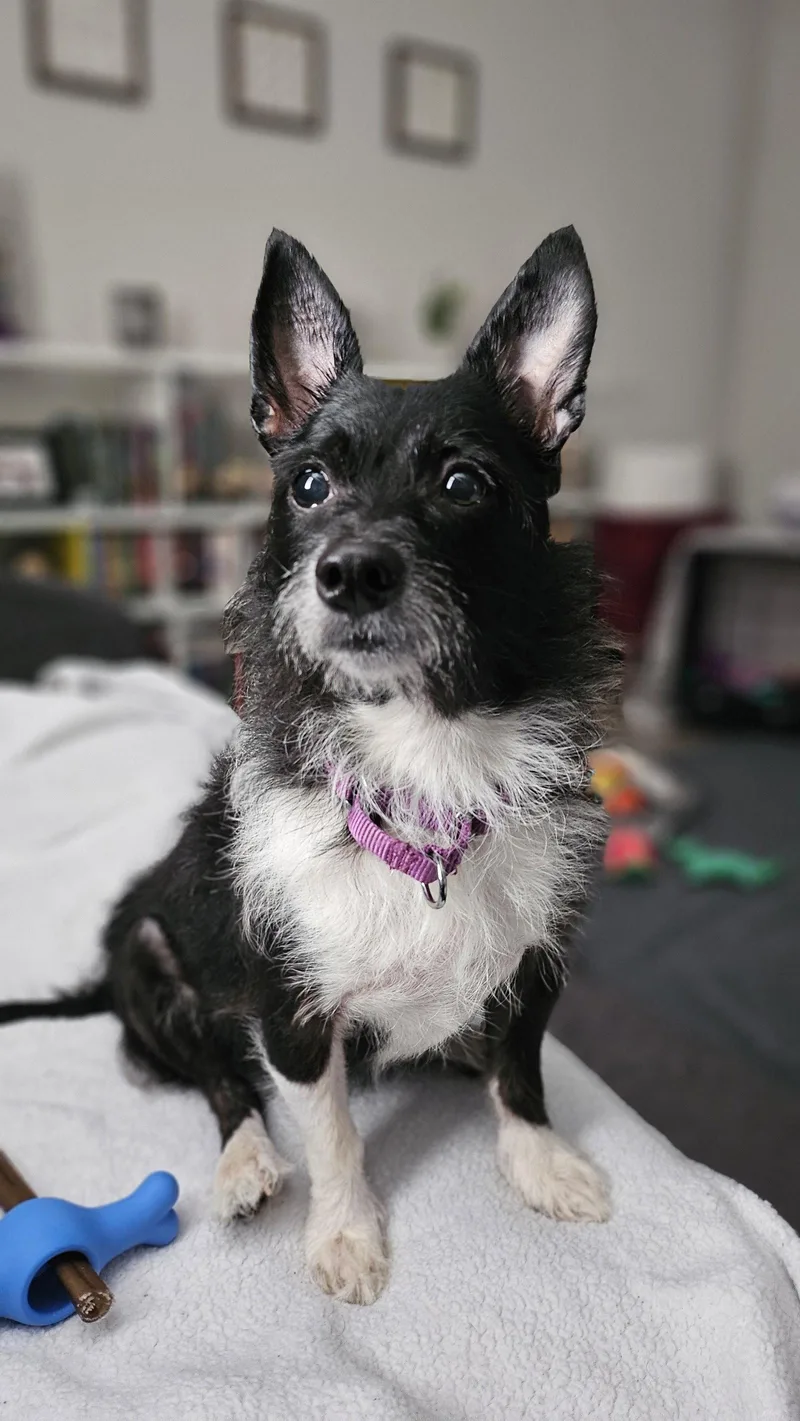 Lucy thumbnail 3
