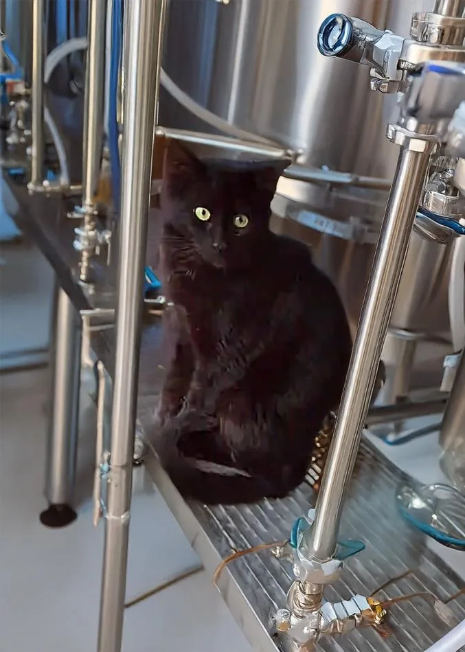 Flow The Vineyard Guardian thumbnail 2