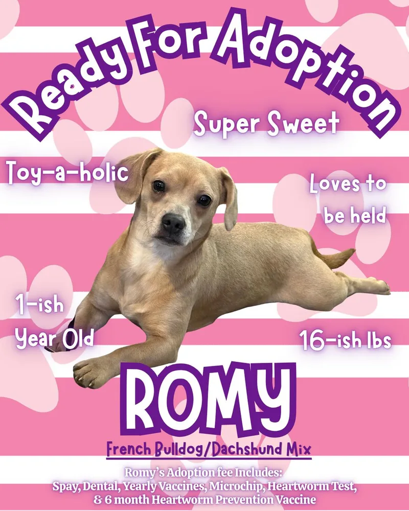 Romy thumbnail 2