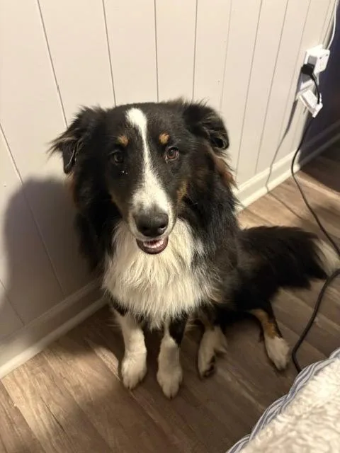 Duke