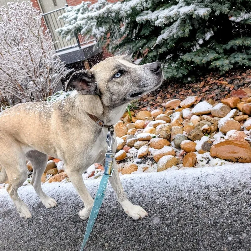 Coffee Cup thumbnail 3