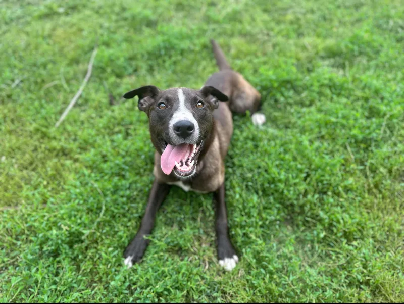 Hopscotch! Smart Silly Girl!