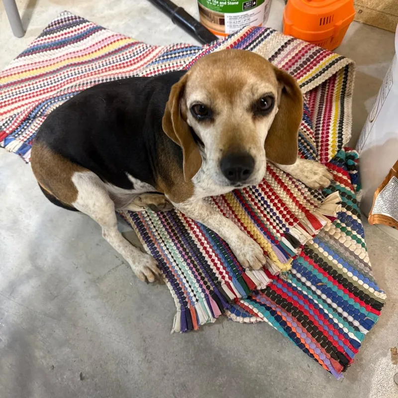 Little One thumbnail 2