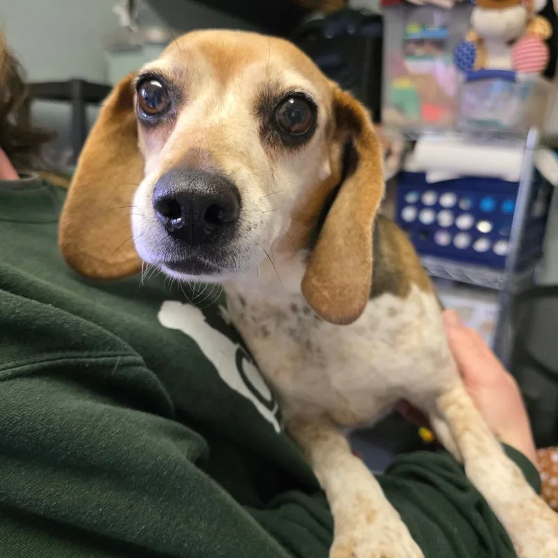 Little One thumbnail 3