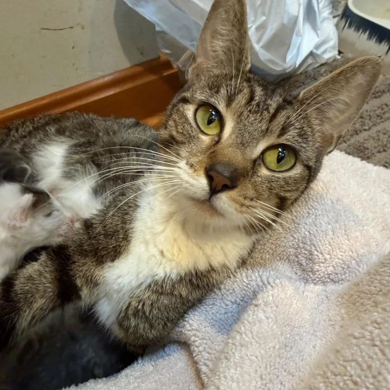 Mama Mae thumbnail 4