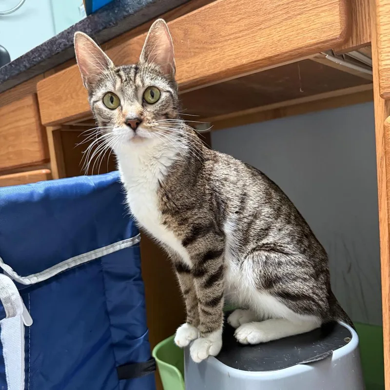 Mama Mae thumbnail 5