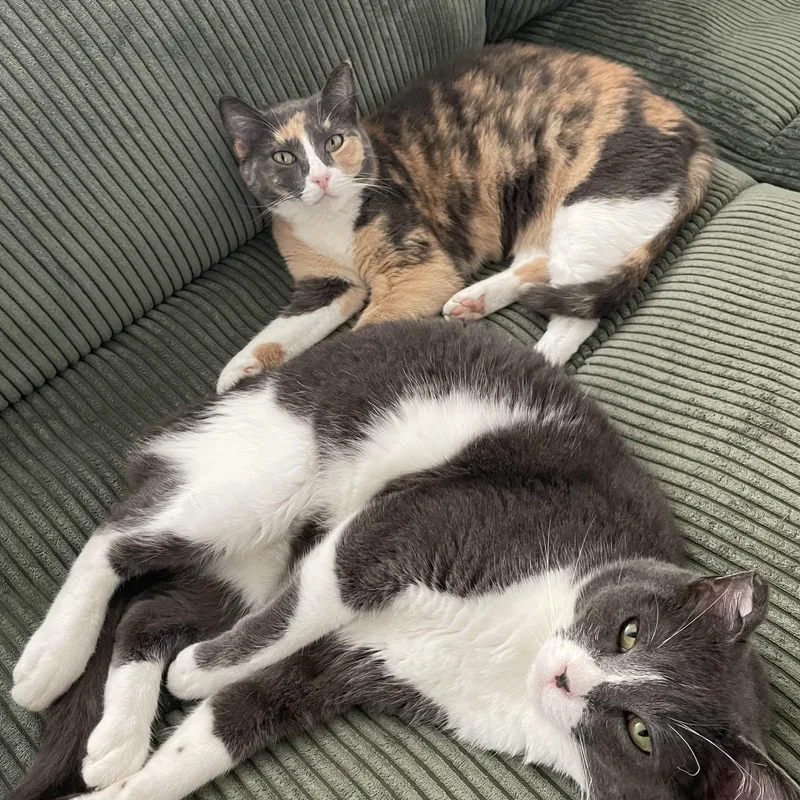 Geri & Tom thumbnail 3