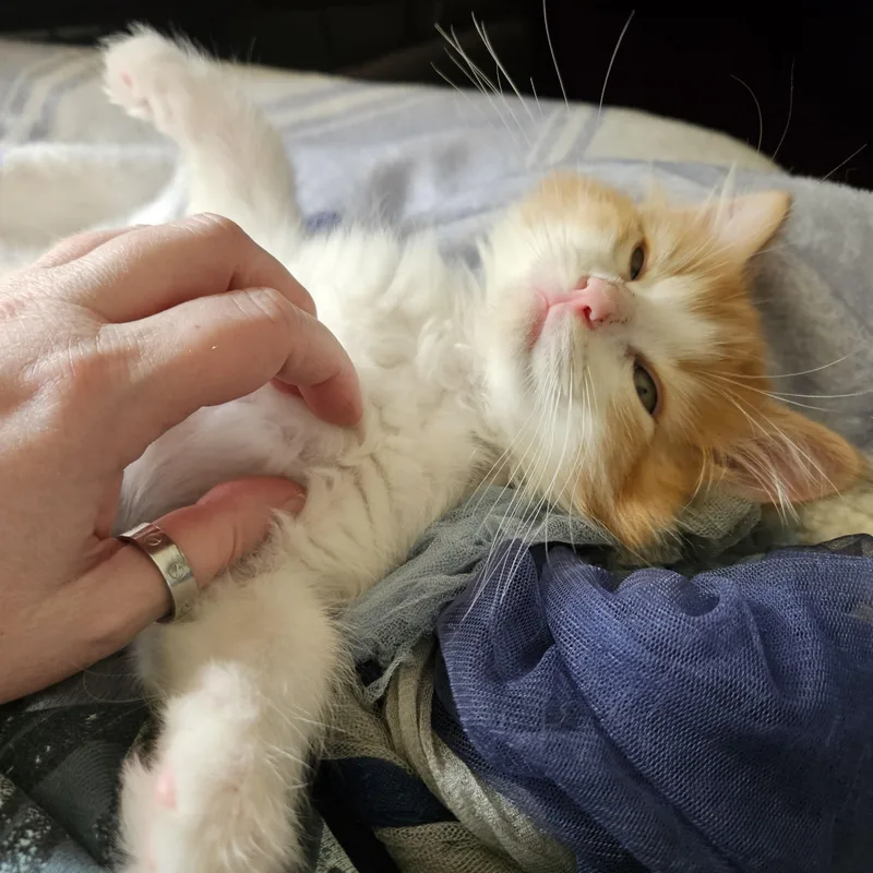Kevin Bonded To Rhea thumbnail 2