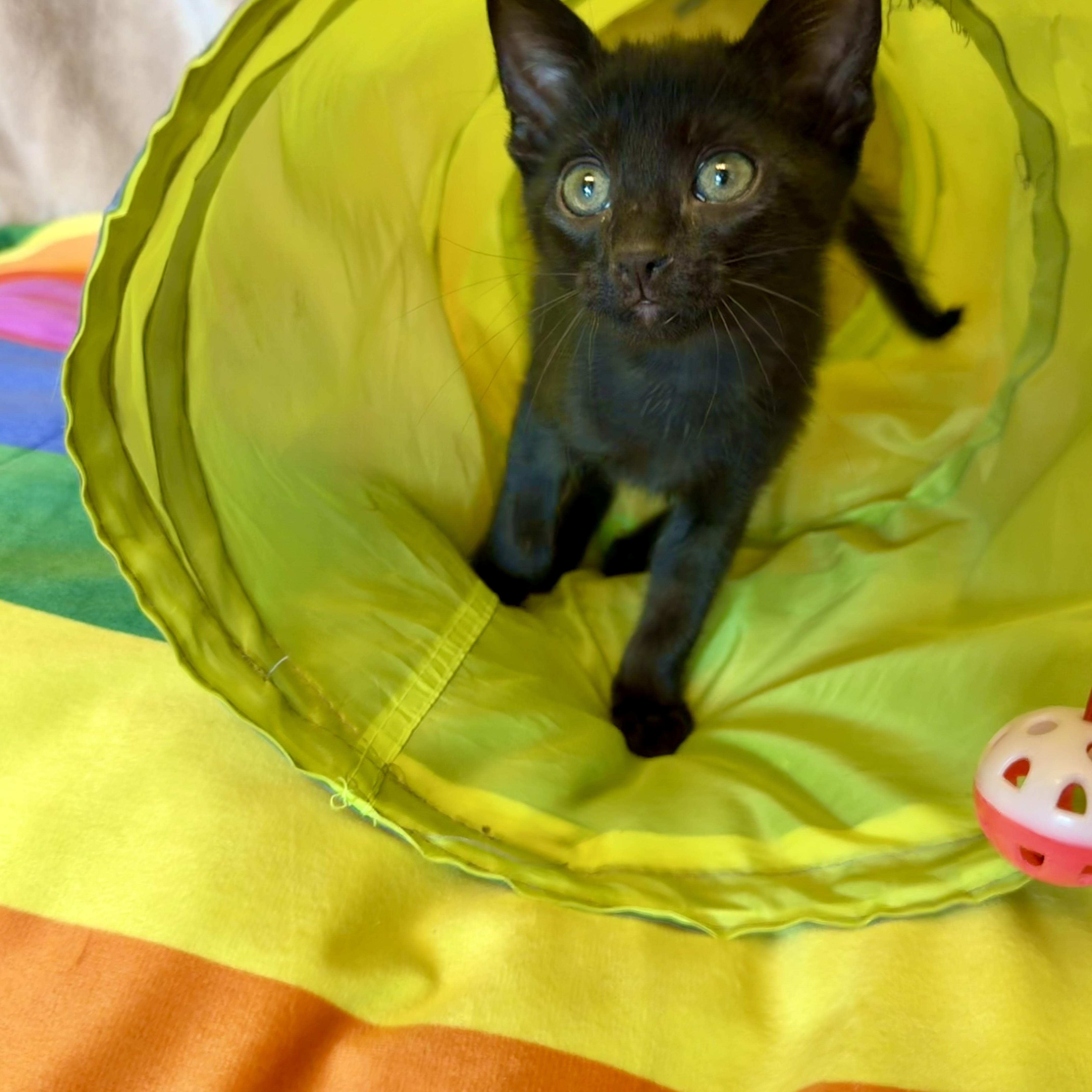 Creek thumbnail 4