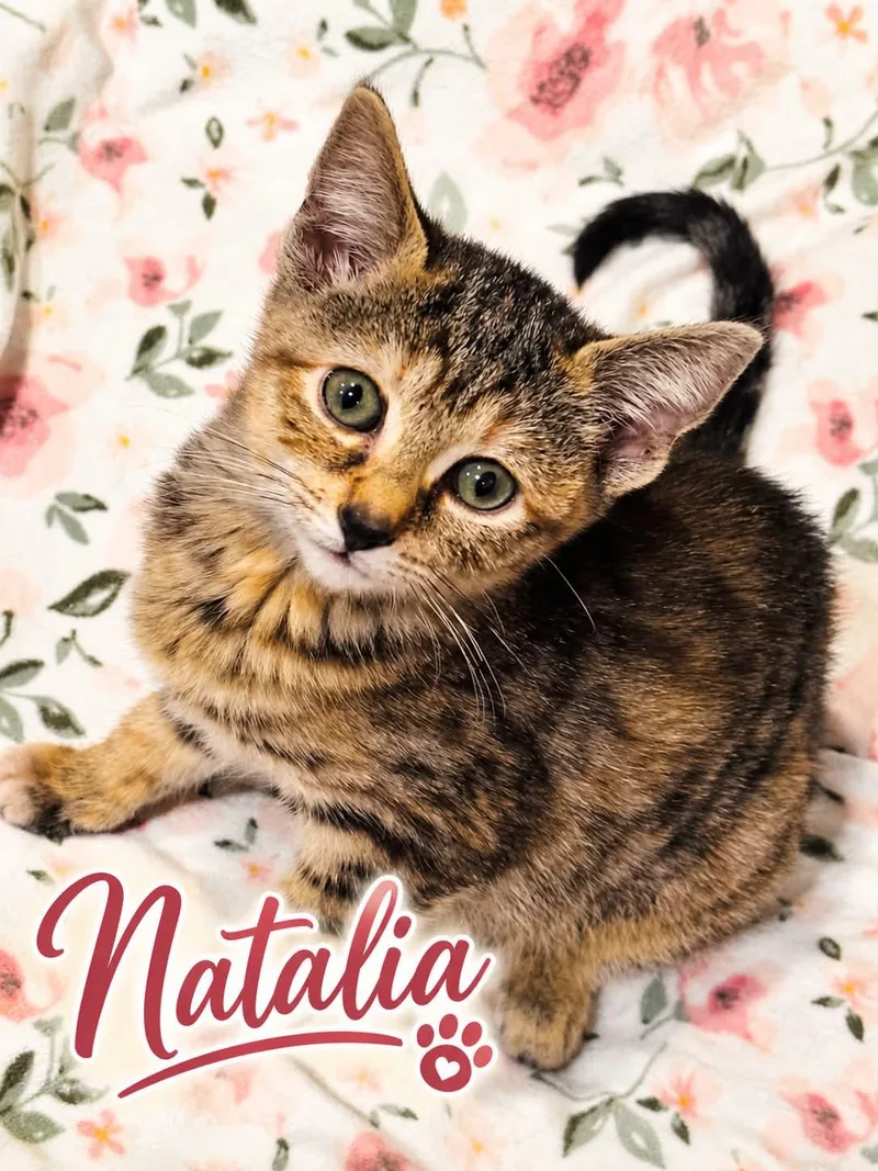 Natalia thumbnail 3