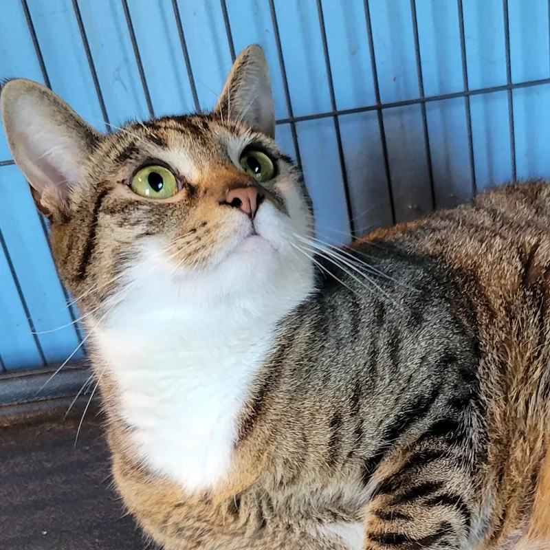 Sullivan thumbnail 2