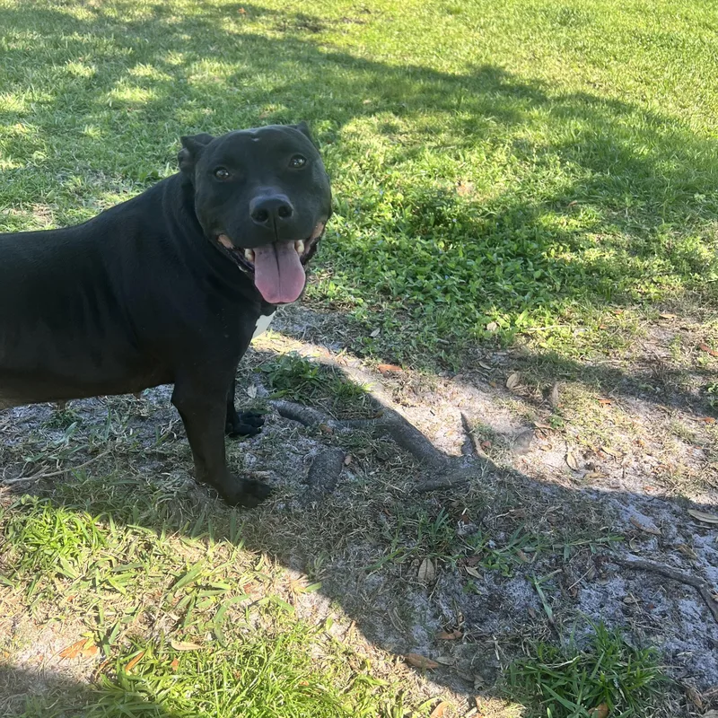 Mamacita thumbnail 3