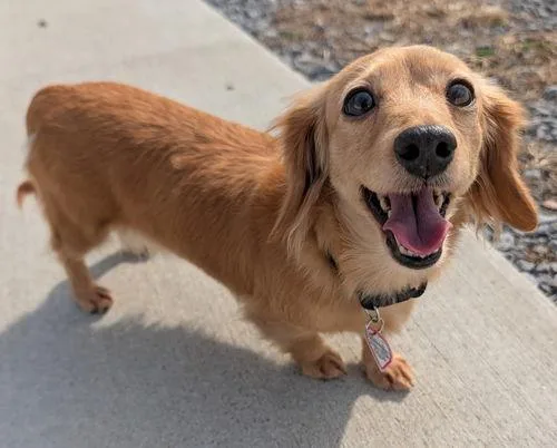 Stella In Tn thumbnail 4