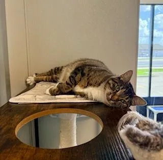 Daisy Mae thumbnail 3