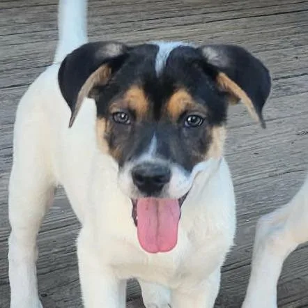 Jenny Jw thumbnail 2