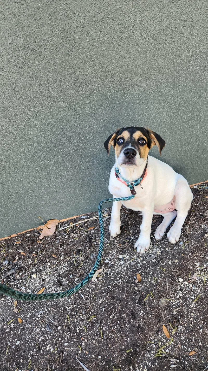 Jenny Jw thumbnail 3