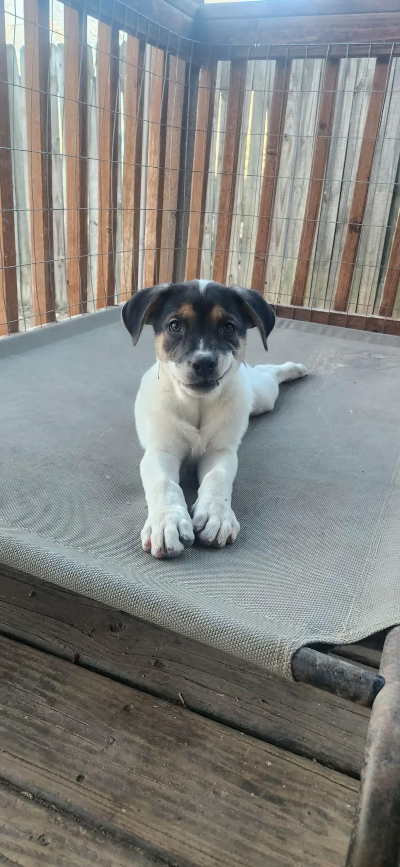 Jenny Jw thumbnail 4