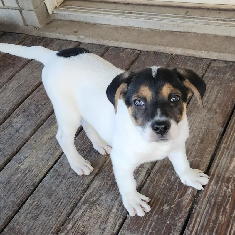 Jenny Jw thumbnail 5