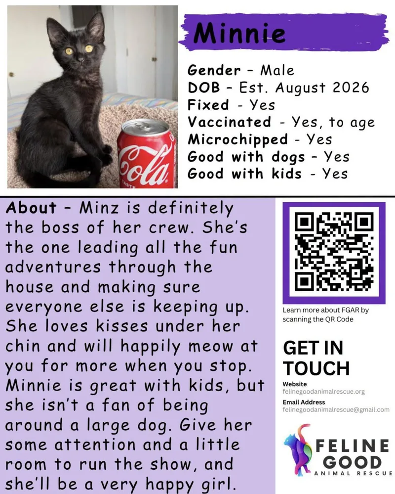 Minnie thumbnail 4