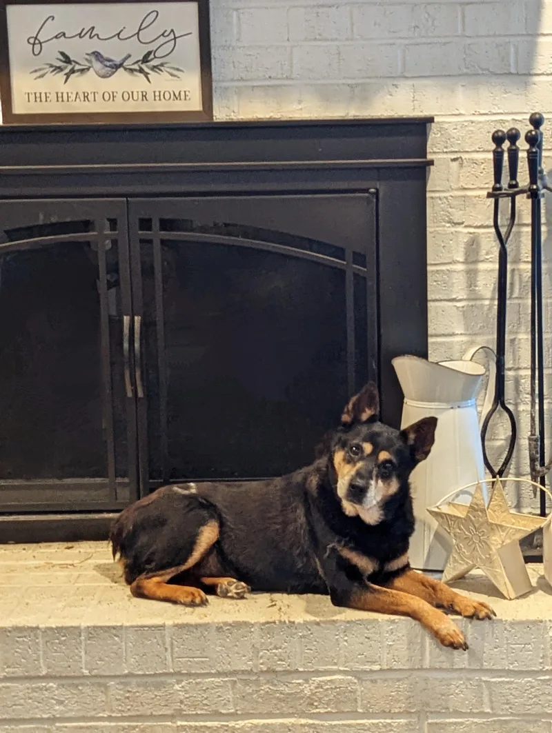 Fatty Patty thumbnail 2