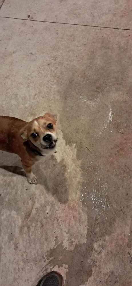 Sprocket thumbnail 3