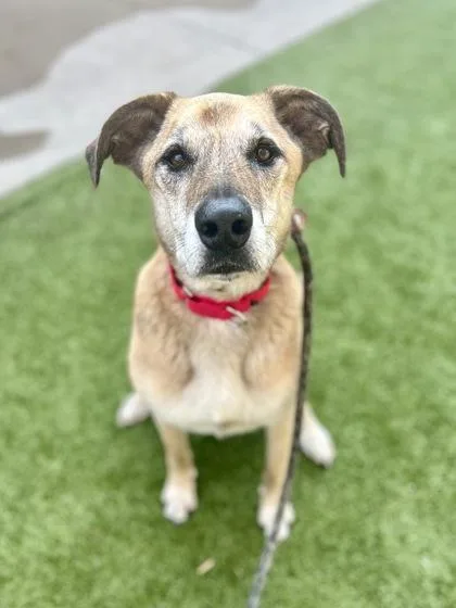 Stephanie thumbnail 2