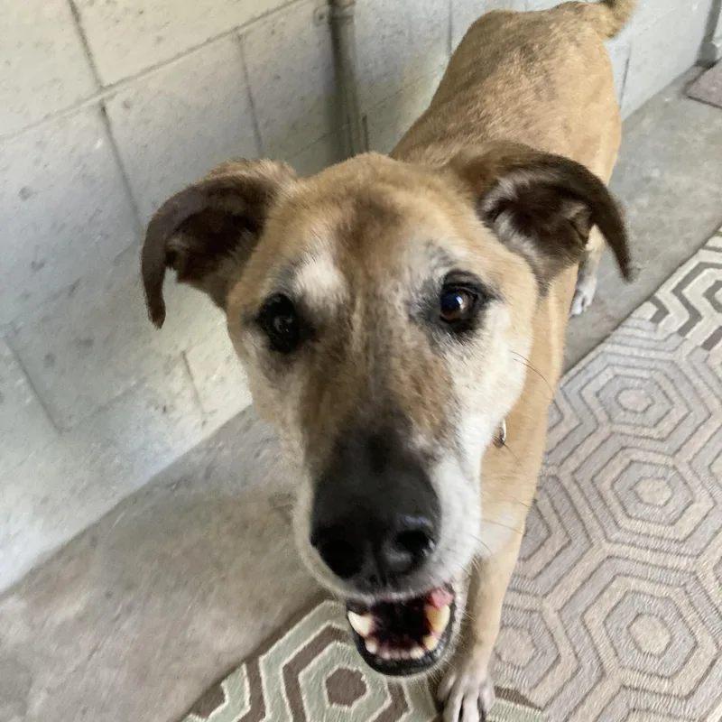 Stephanie thumbnail 3