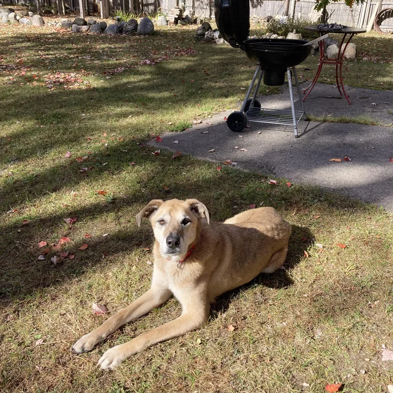 Stephanie thumbnail 4